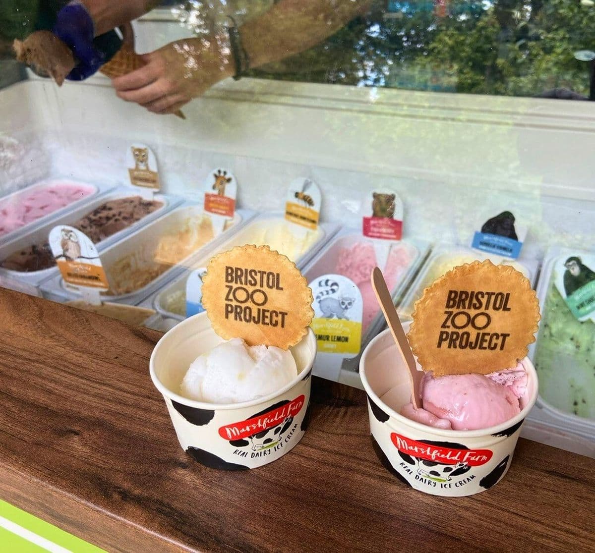 Tubs of ice cream