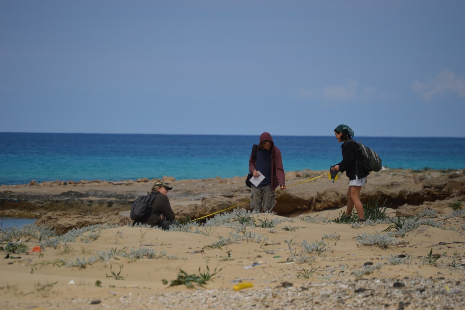Three people conducting research on a sandy beach, using measuring tape, with the ocean in the background under a clear sky.