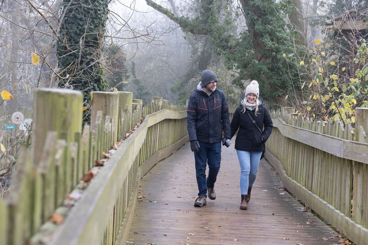 A couple walking along a wooden walkway holding hands