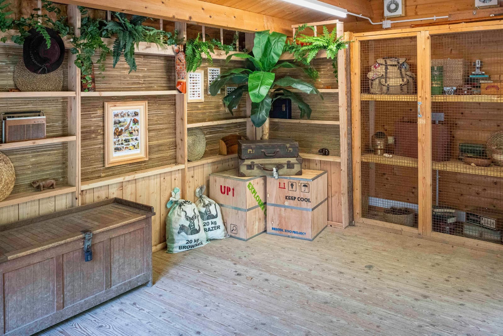 A wooden room with crates, a trunk, plants, a suitcase, and various vintage items on shelves. Walls are lined with framed pictures and woven baskets.