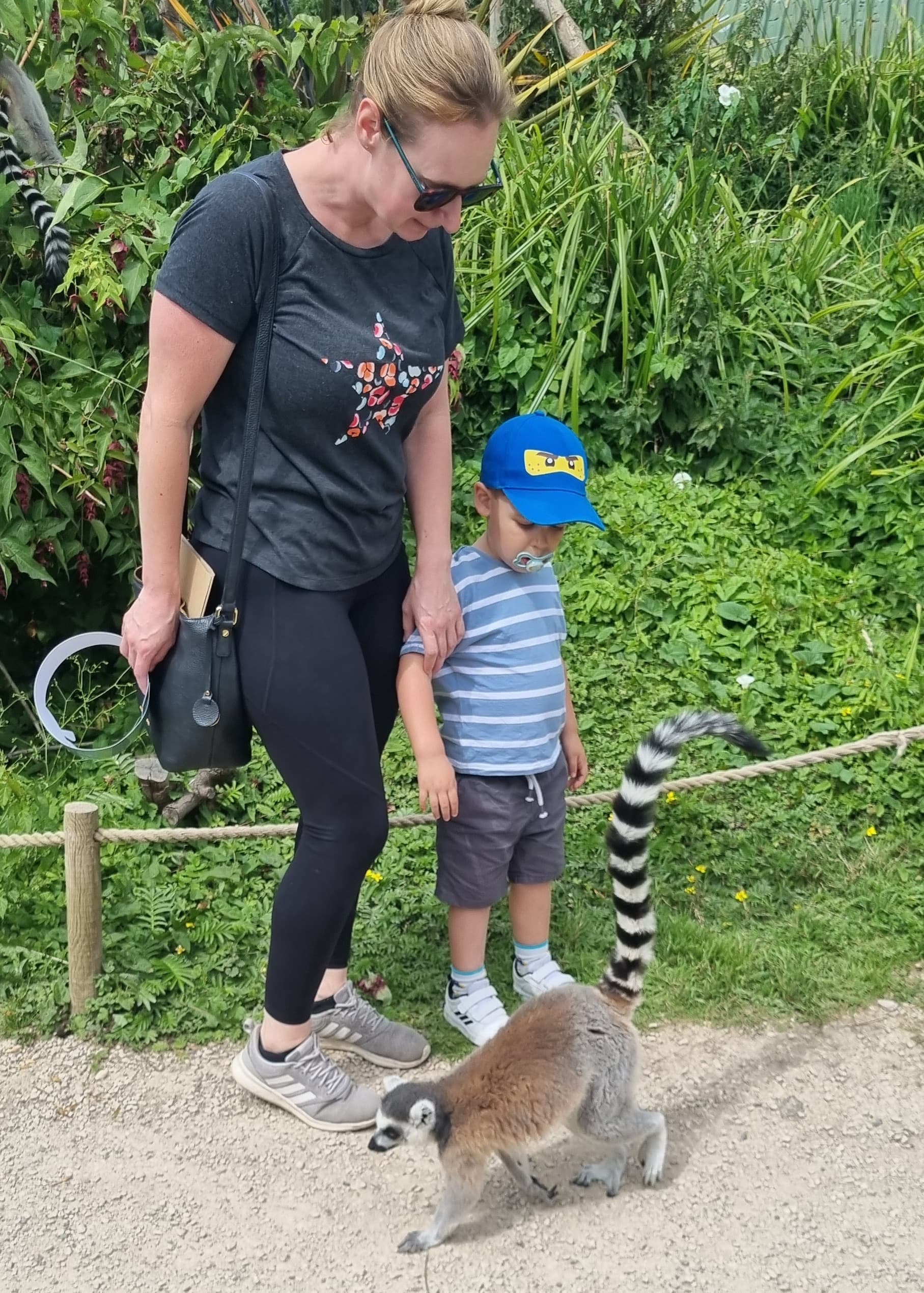 A mother and child looking at a lemur by their feet
