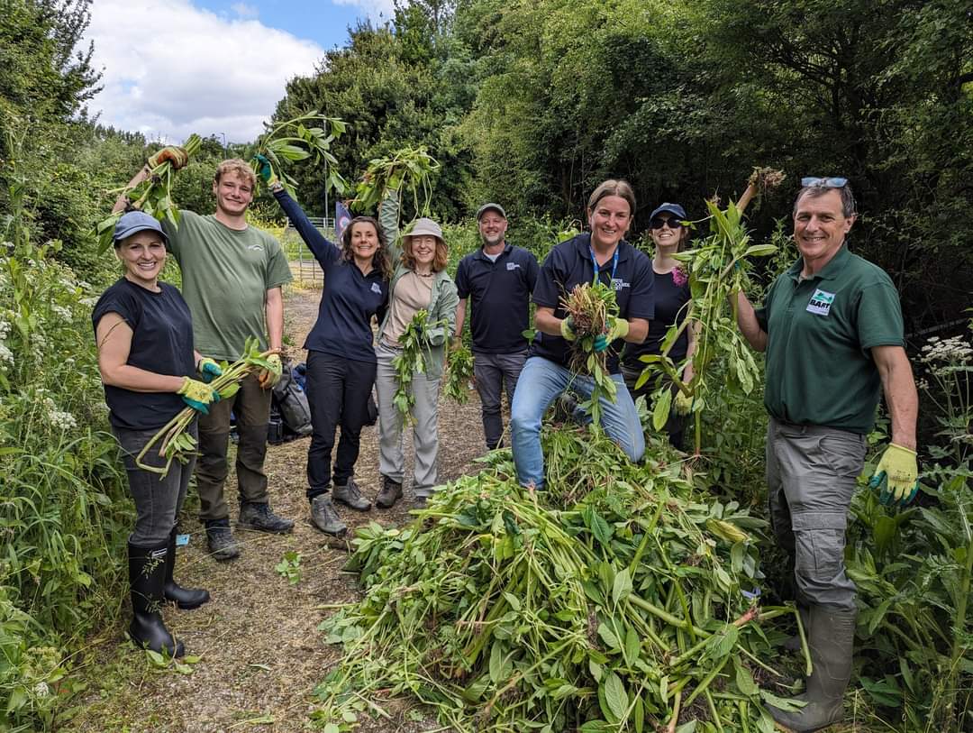 A group of people standing around large piles of non-native invasive species
