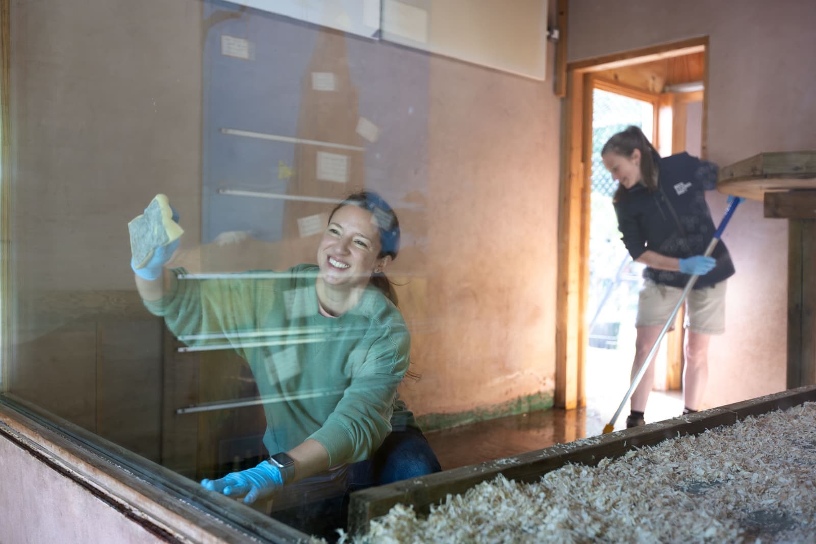 Two women cleaning an animal enclosure: one smiles and wipes a glass pane wearing gloves, another mops the floor; wood shavings in foreground.
