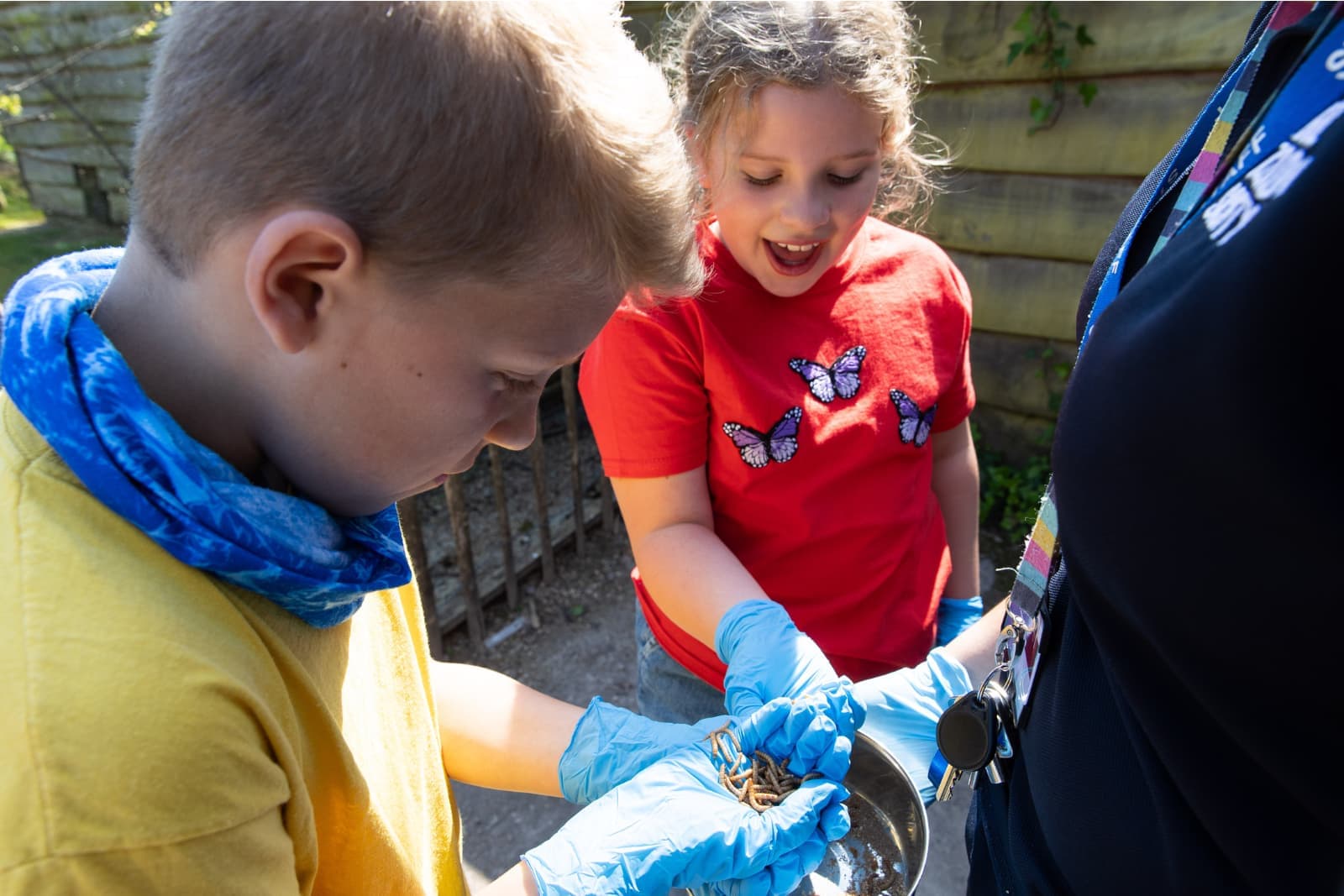 Two children wearing blue gloves examining mealworms in a metal dish outdoors; girl in a red butterfly shirt looks excited.