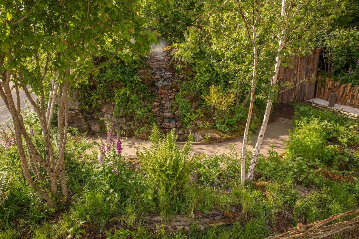 Lush garden with a small waterfall, surrounded by ferns, flowers, and birch trees, creating a serene natural setting.